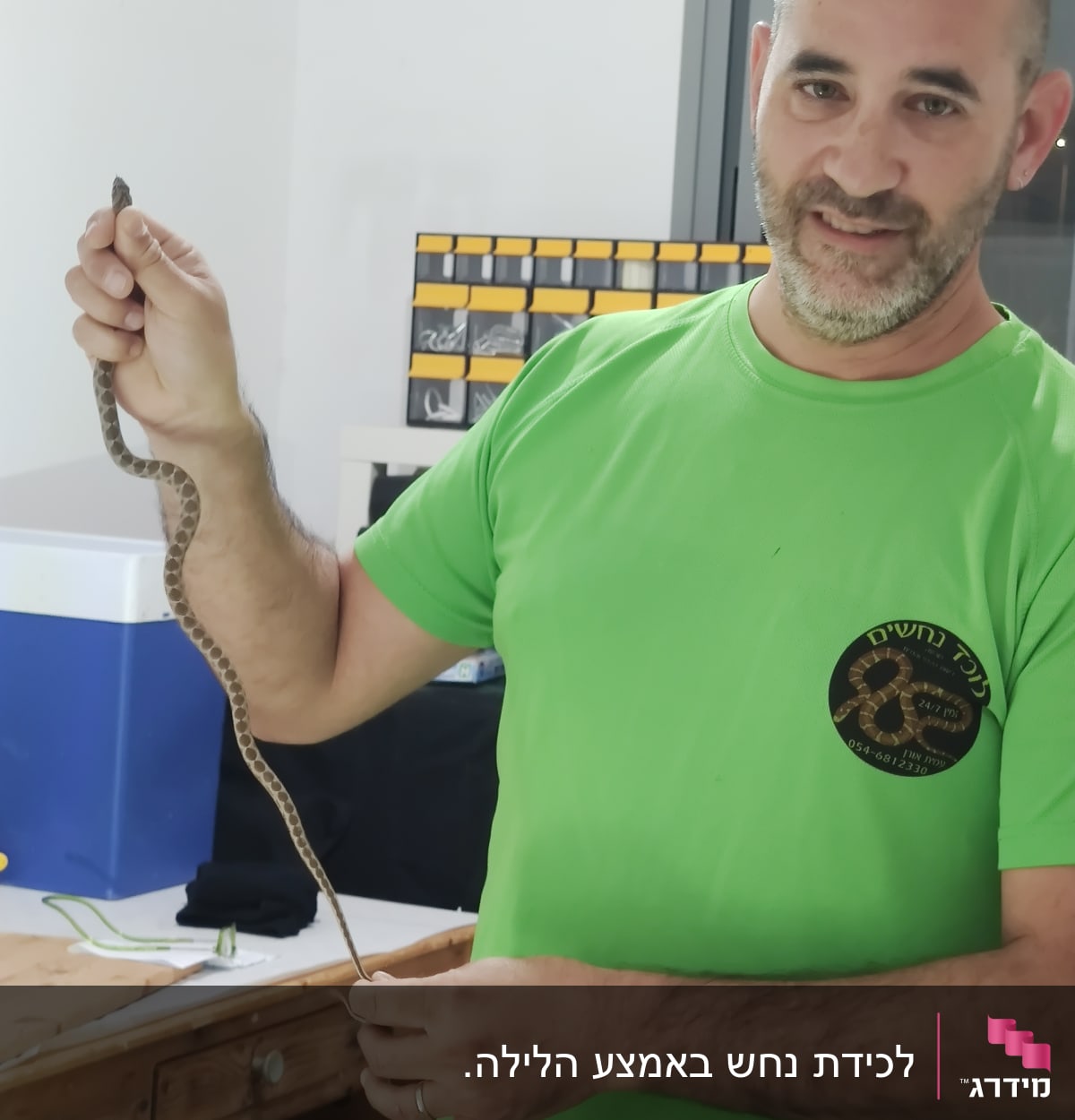 אדם מחזיק נחש קטן בידו בחולצה ירוקה